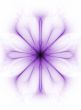 Subtle Petals