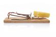 Mousetrap with cheese