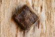 old rusty nail