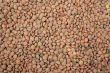 Lentils background