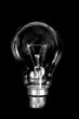 business idea black bulb