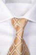 brown business shirt tie