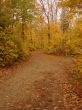 Autumn Dirt Pathway