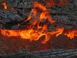 campfire flame