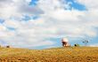 Abandoned meteorological radar.