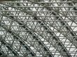 Background - a trellised roof
