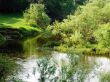 small river