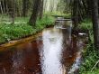 forest river