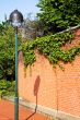 brick wall and lamppost