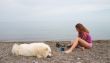 Girl and samoyed on the seaside