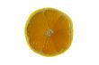 piece of lemon