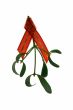 mistletoe twig with a red ribbon