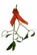close-up of a bunch of mistletoe