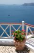 flowerpot on balcony