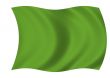 Green blank flag
