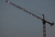 Crane at Dawn