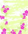 Flowers frame