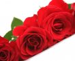 Red roses