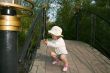 child on the bridge