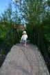 child on the bridge