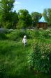 child in the park