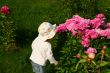 Girl and flowers