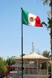 Mexican Flag