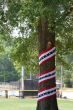 Patriotic Tree