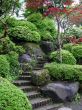 Japanese Garden