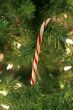 Candy Cane