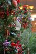 Christmas at Mall