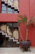 Hotel Courtyard in Chiapas, Mexico