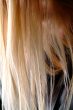 blond hair