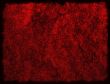 Great for textures and backgrounds