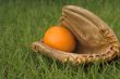 An Orange in a Baseball Glove