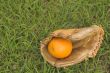 An Orange in a Baseball Glove