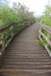 Boardwalk in Anhinga Trail