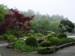 Japanese Garden