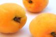 Apricot