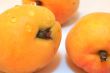Apricot