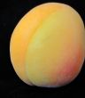 Apricot