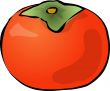 Persimmon