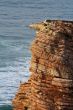 Abbadie coastline
