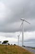 A windmills