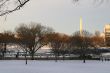 D.C. in Snow