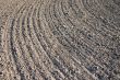ploughed earth texture