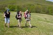 Group of tourist