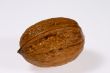 Wet walnut