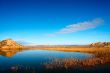 Reflection in the lake