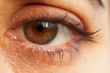 sharp and detail macro of eye